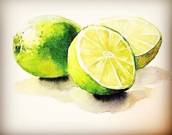 Скетчинг фрукты