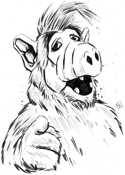 Альф рисунок