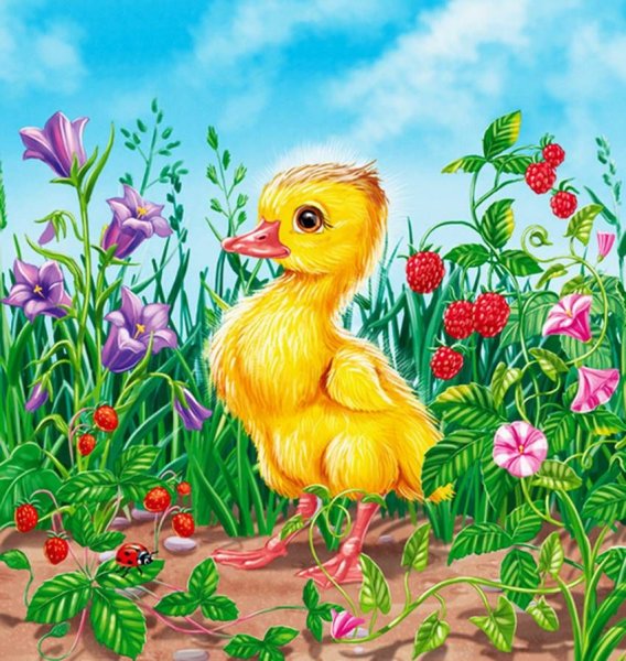 Сказка Житкова Храбрый утенок