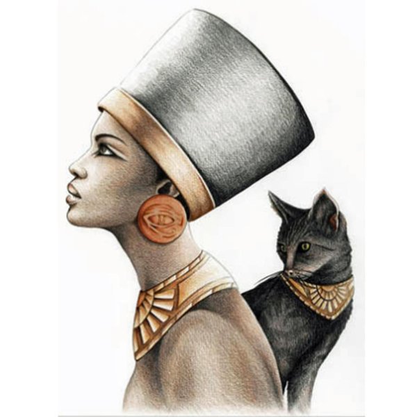 Кошка царица Нефертити