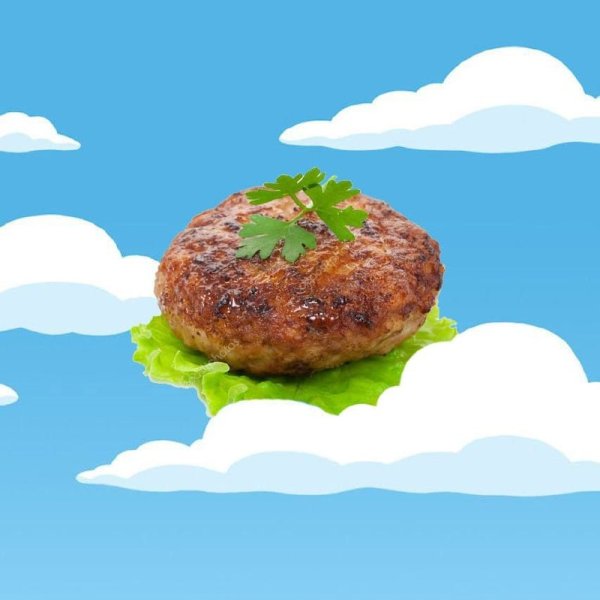 Летающая котлета