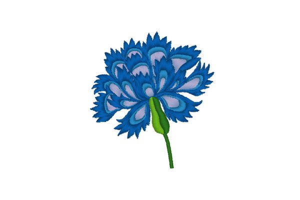 Васильки цветы