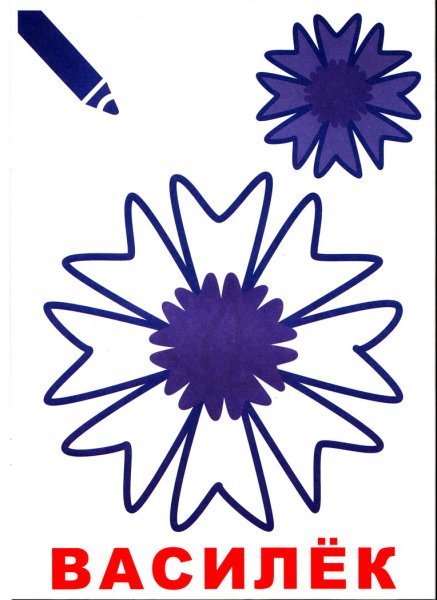 Васильки раскраска для детей