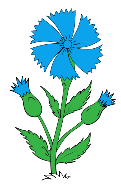 Геральдический Василек