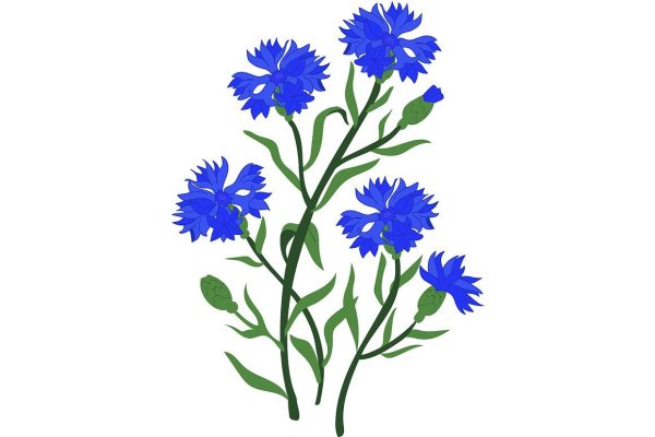 Васильки мультяшные