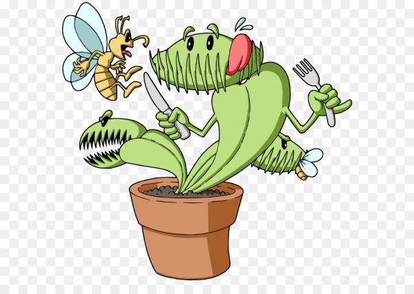 Детки у Венериной мухоловки