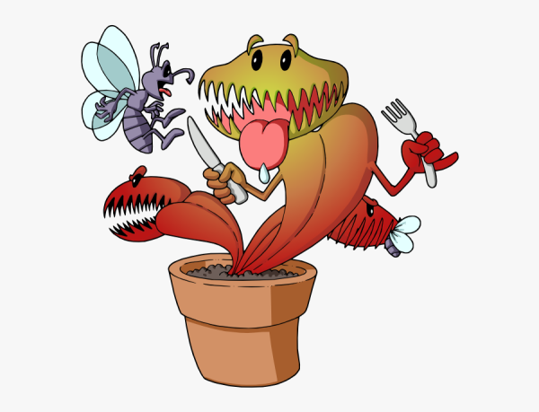 Росянка и Дионея