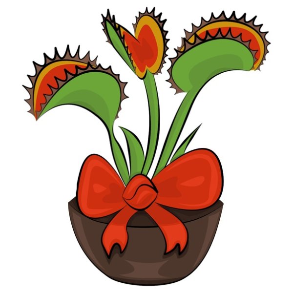 Венерина мухоловка монстр