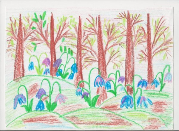 Рисование карандашами в средней группе