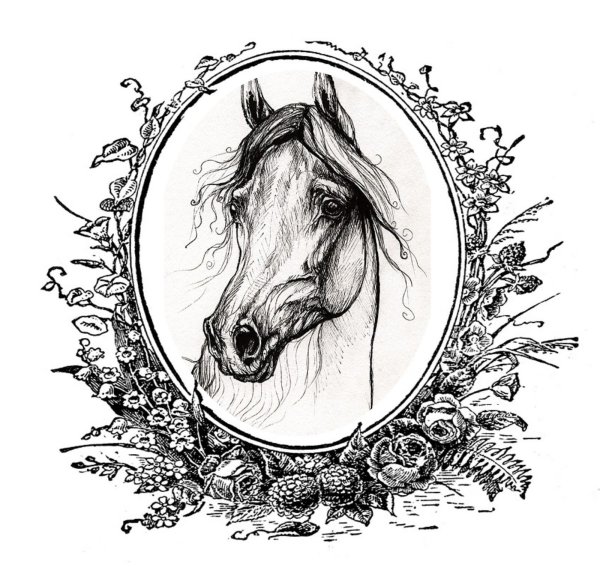 Монохромные рисунки