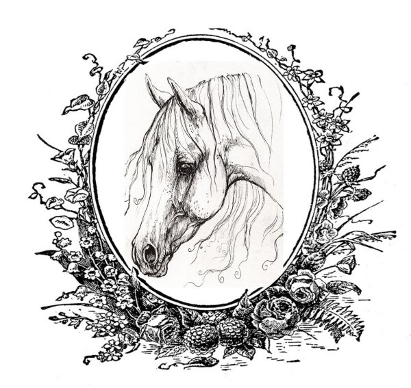 Монохромные рисунки