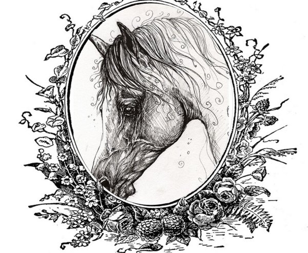 Черно белые рисунки