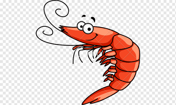 Веселая креветка