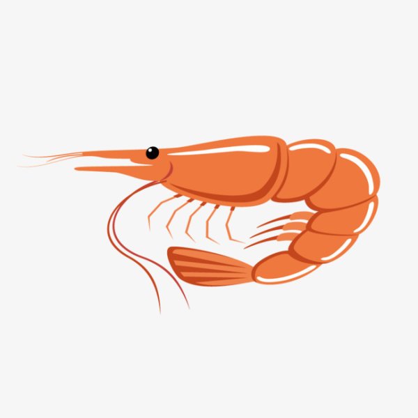 Креветка контур