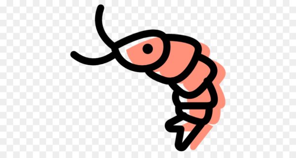 Креветки для рисования