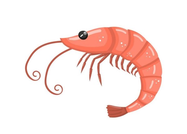 Креветки для рисования