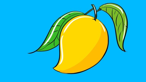 Манго фрукт вектор