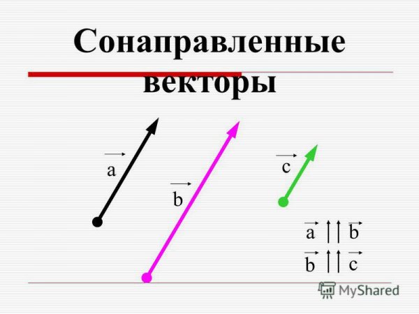 Вектор а и б сонаправлены