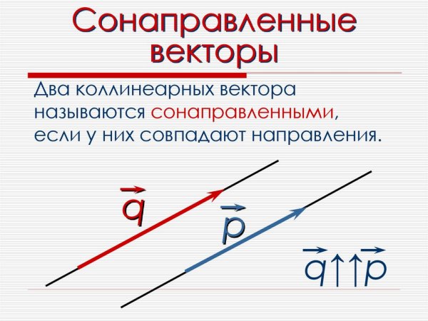 Сонаправлегнве вектора