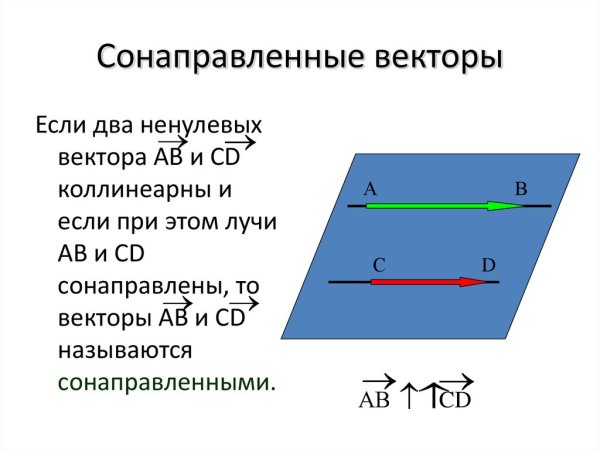 Сонаправленные и противоположно направленные векторы