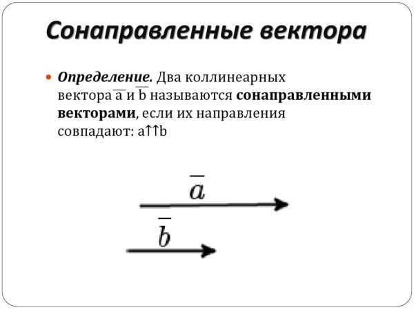 Коллинеарные векторы рисунок