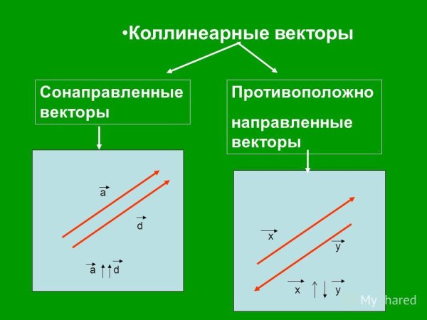 Соноправленые вектора рисунок