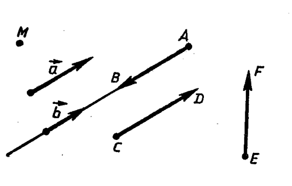 Коллинеарные векторы сонаправленные и противоположно направленные
