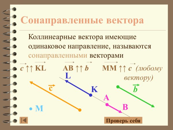 Сонаправленные векторы это в геометрии