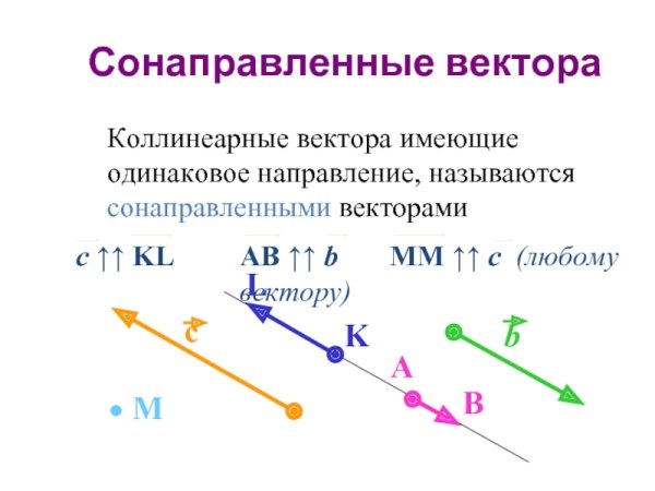 Коллинеарные векторы сонаправленные и противоположно направленные