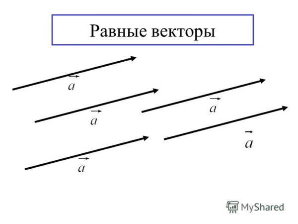 Укажите сонаправленные векторы