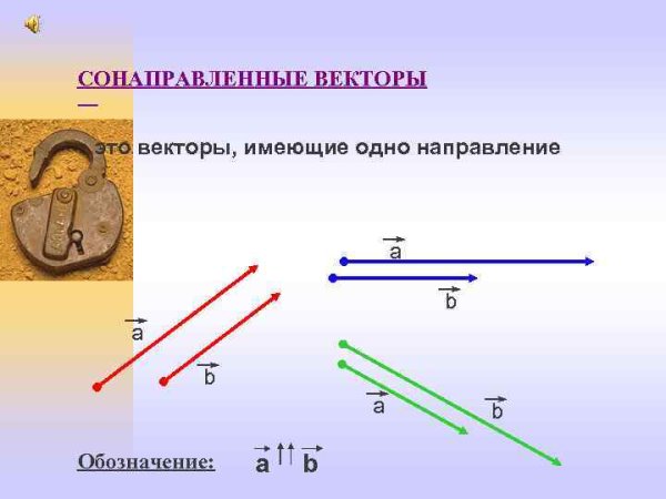 Коллинеарные векторы сонаправленные и противоположно направленные