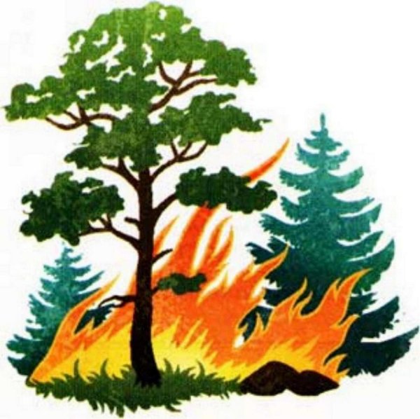 Пожар в лесу для детей