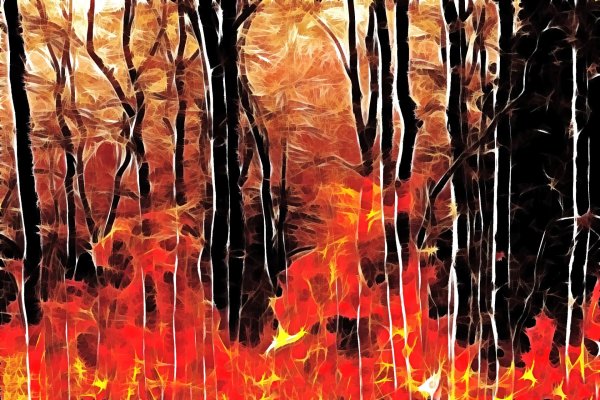 Пожар в лесу картина красками