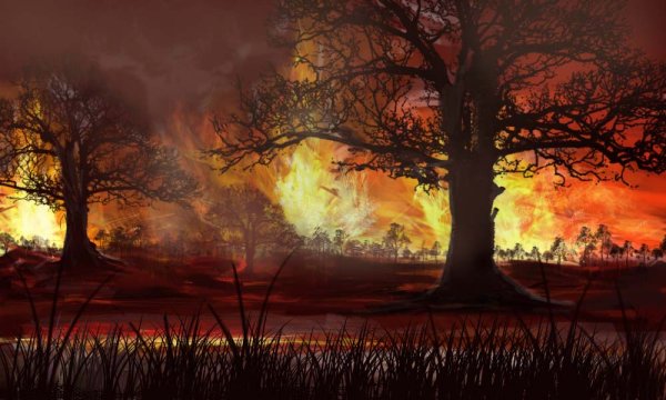 Животные бегут от пожара