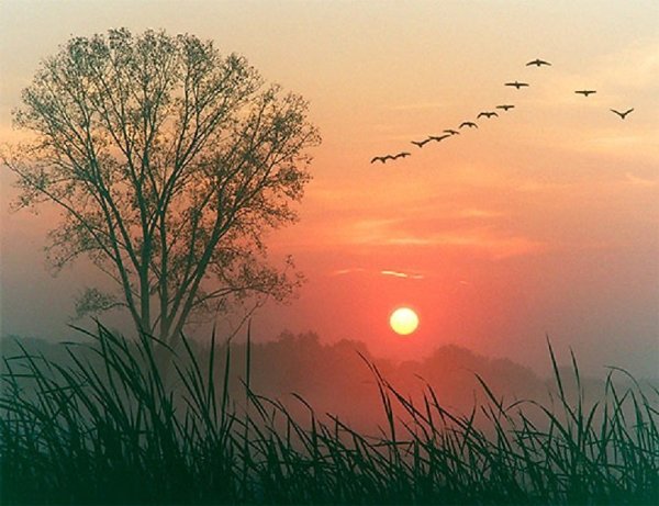 Заря прощается с землею Фет