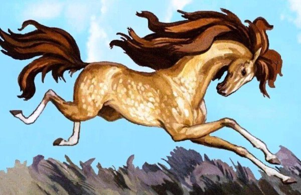 Лошадь Сивка бурка