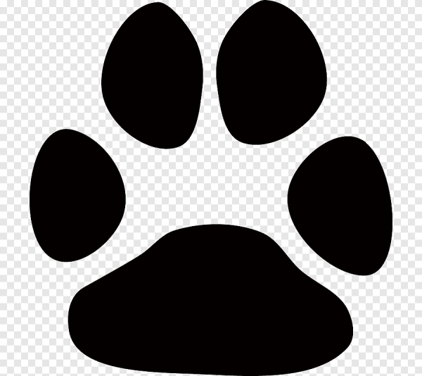 След собаки