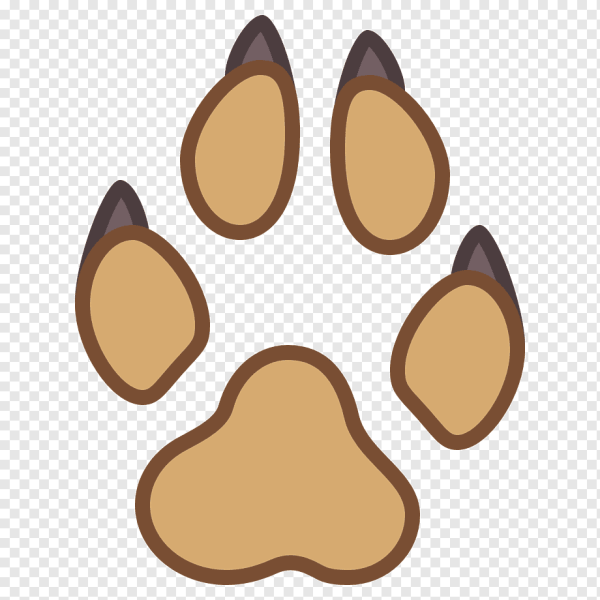 Лапа собаки