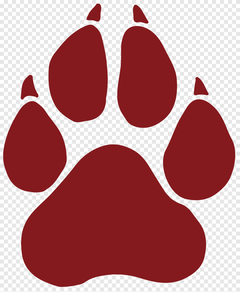 Лапа собаки