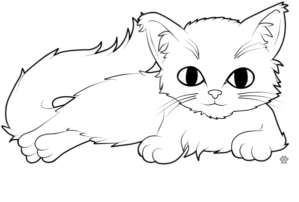 Рисунок кошки для срисовки