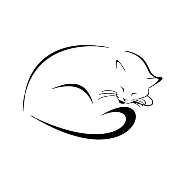 Силуэт спящей кошки