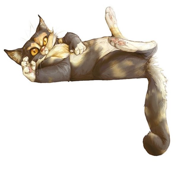 Кошка лежит на спине арт
