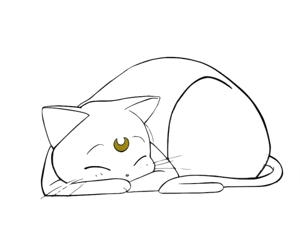 Рисунки котиков для срисовки