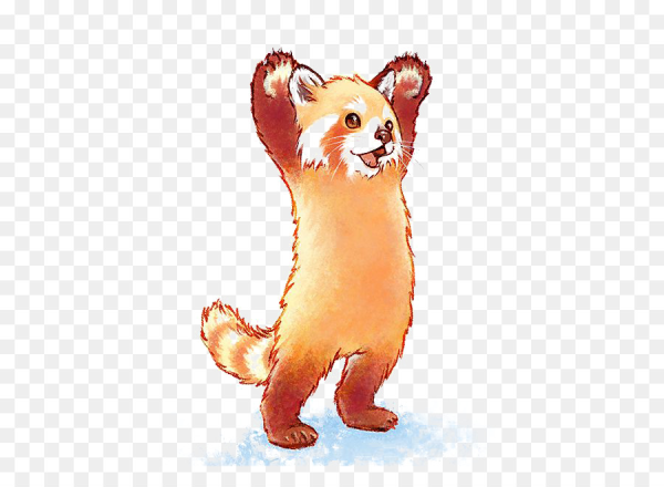 Красная Панда рисунок