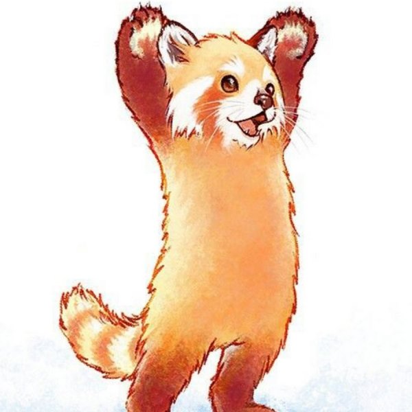 Красная Панда рисунок