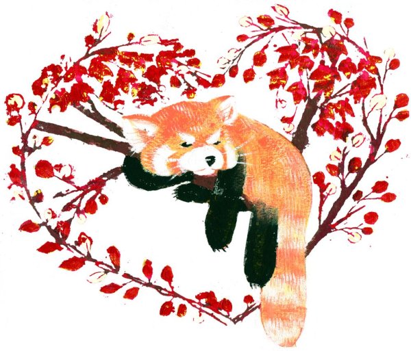 Красная Панда орнамент