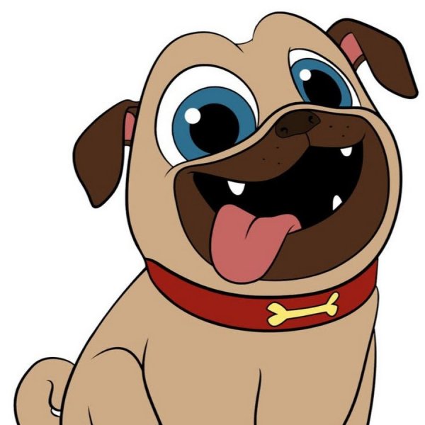 Дружные мопсы Ролли