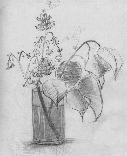 Цветы в вазе