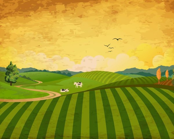 Поле мультяшное