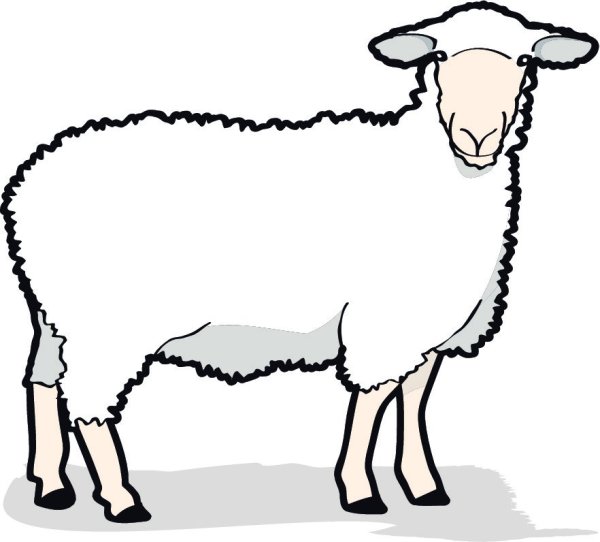 Баран векторный